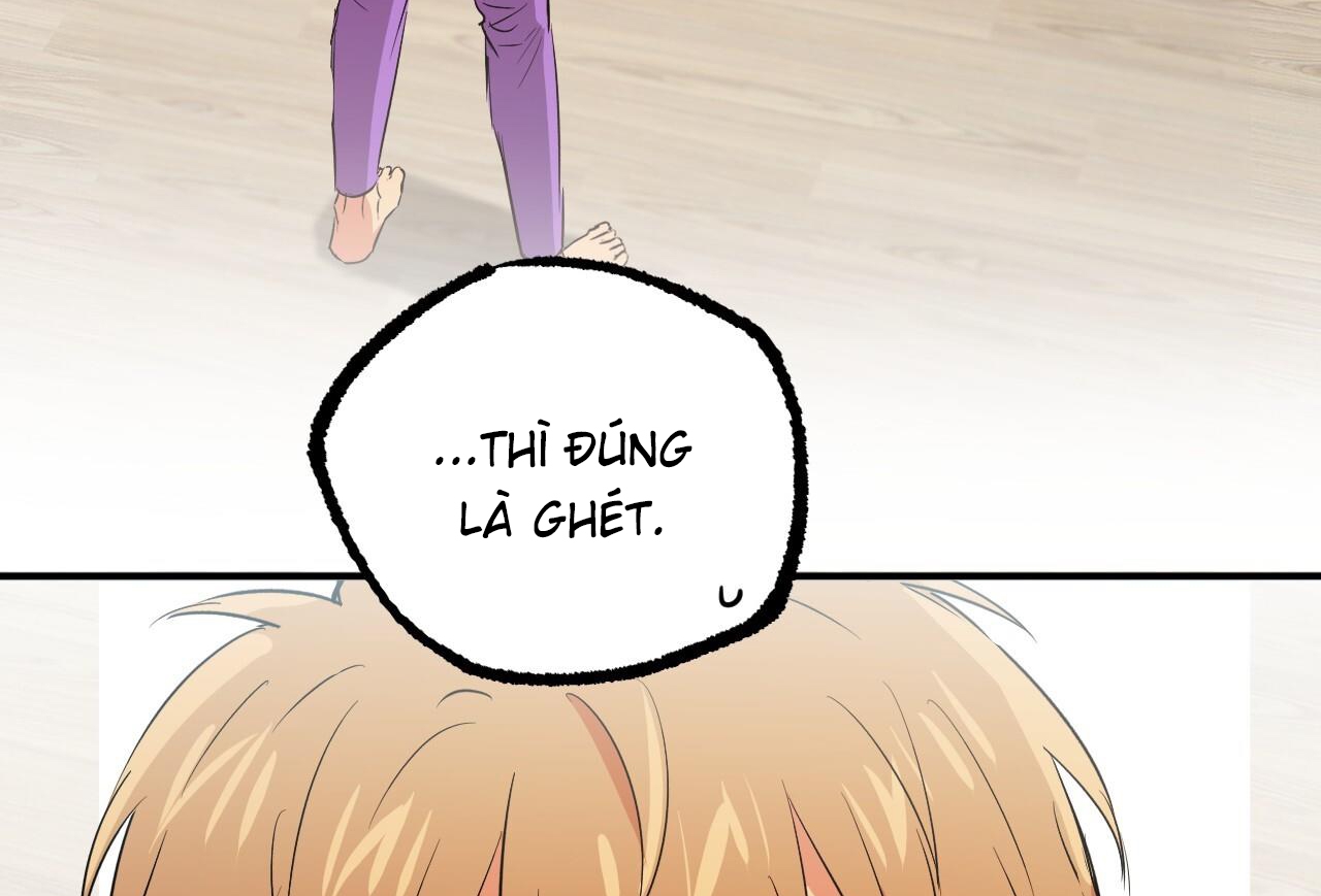 những chú thỏ của hapypy chapter 57 59