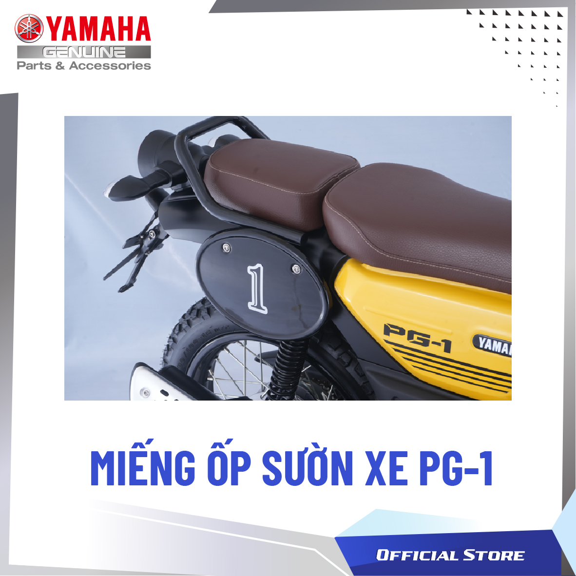 MIẾNG ỐP SƯỜN XE - PG-1