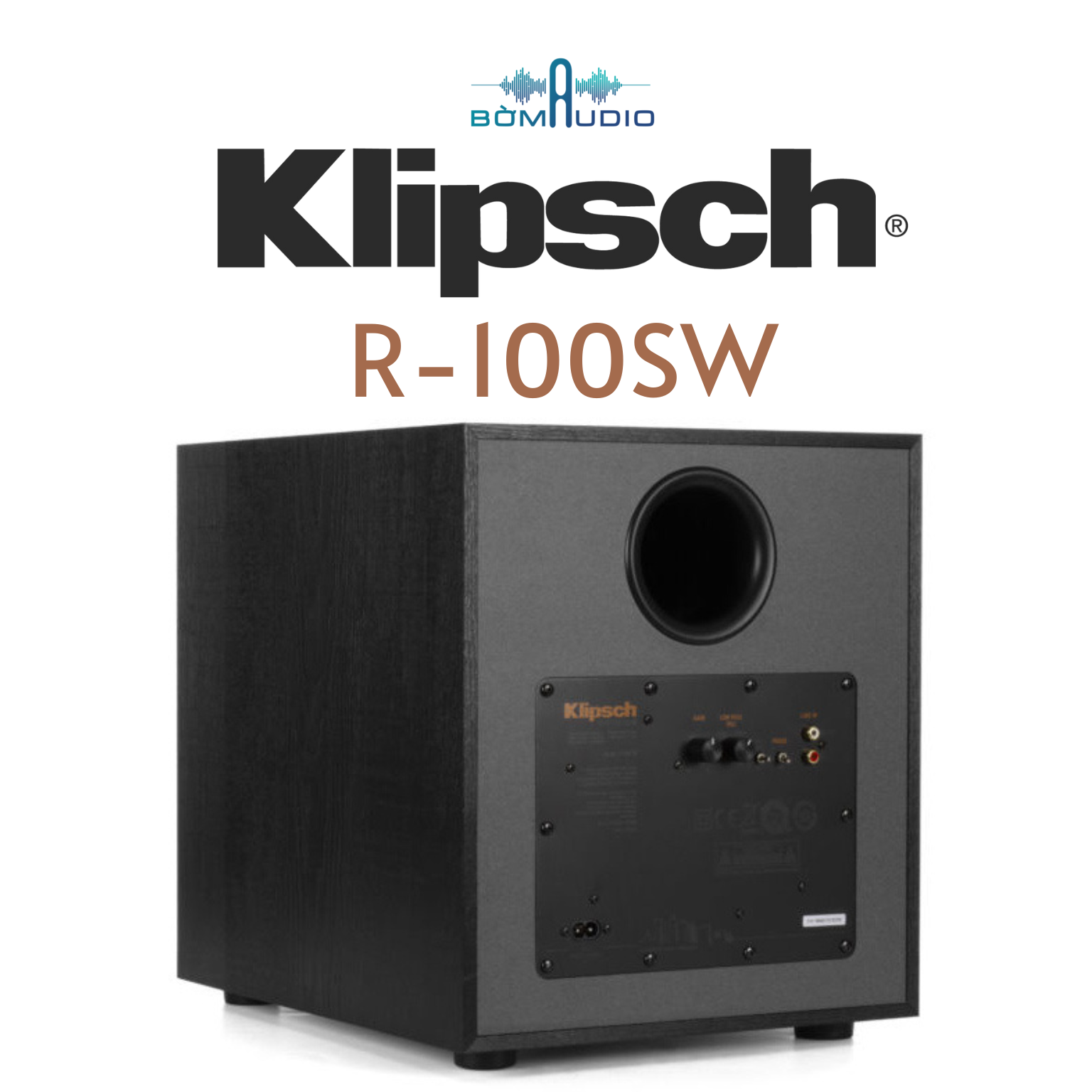 Loa Sub Klipsch R100SW | Hàng chính hãng