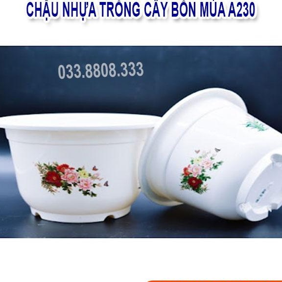 5 Chậu Nhựa Bốn Mùa A220 -Chậu Tròn Trắng Trồng Hoa Cây Cảnh