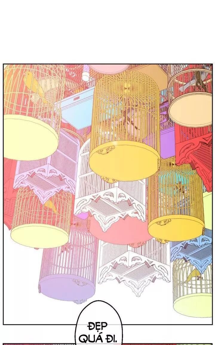 một ngày nọ tôi bỗng thành nàng công chúa chapter 35 45