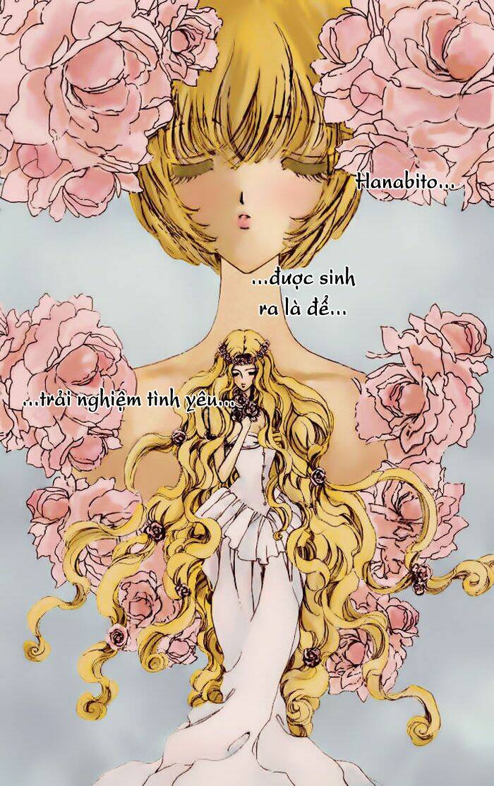 hana ni nare chapter 14 4