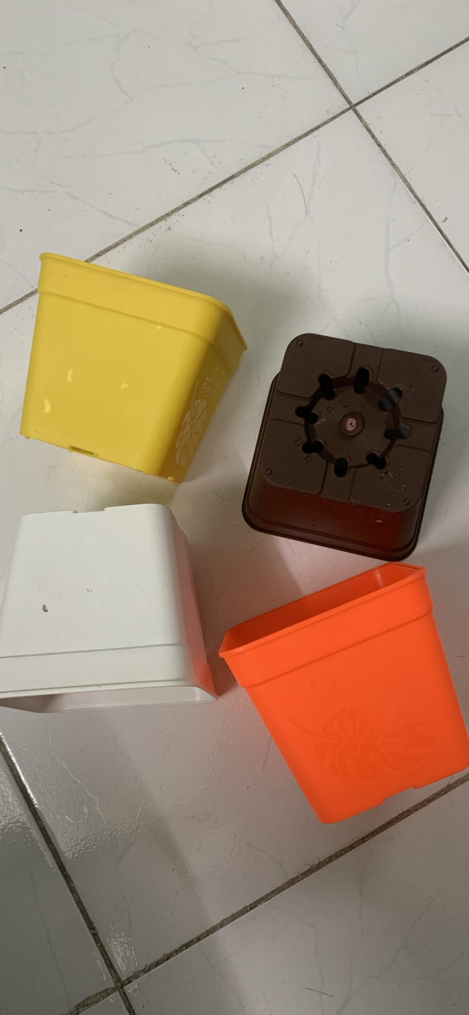 Bộ 5 chậu sen đá vuông 110 nhiều màu