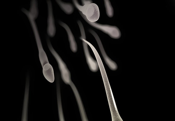 lòng chung thủy chapter 22 4