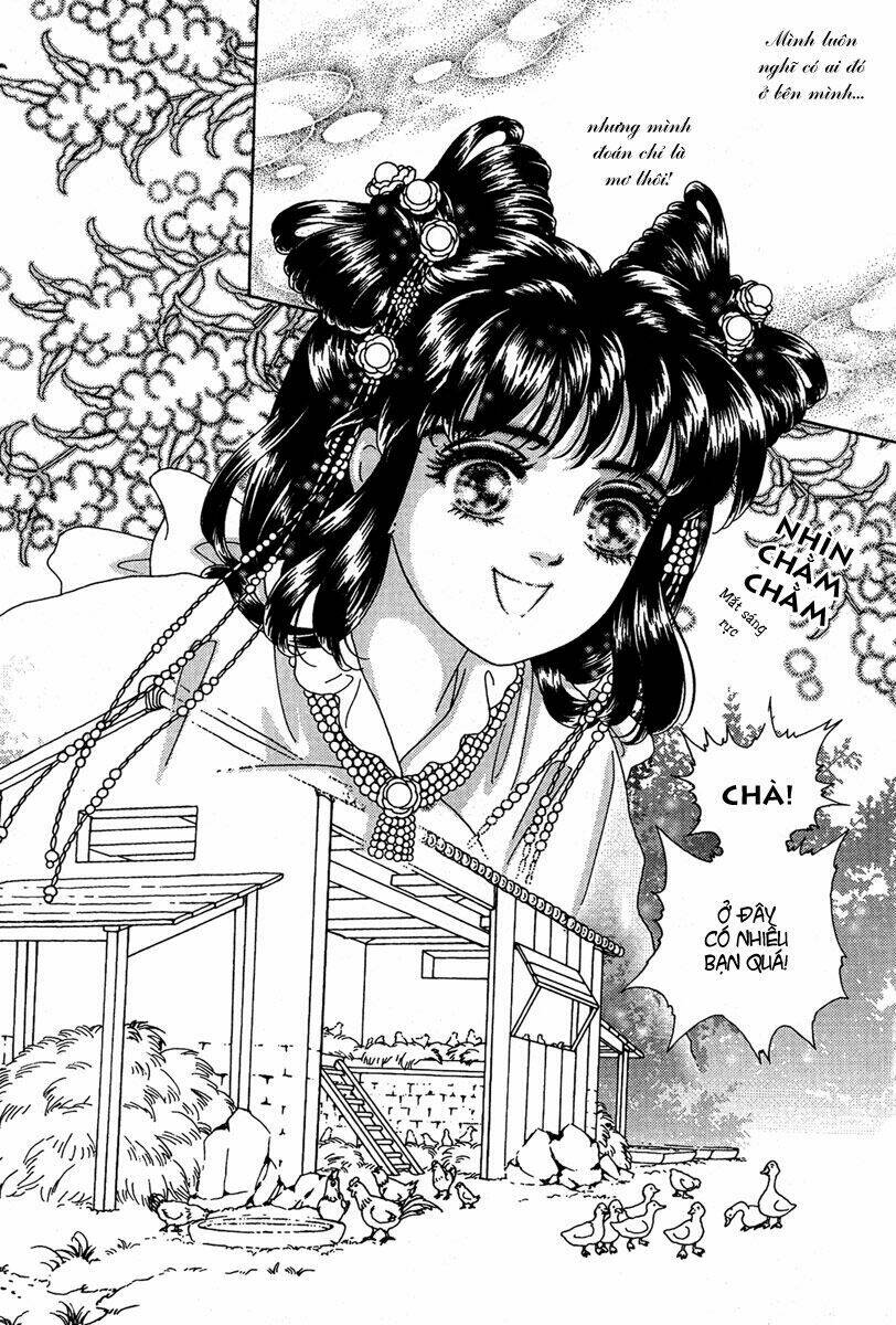 bird of youth chapter 6 25