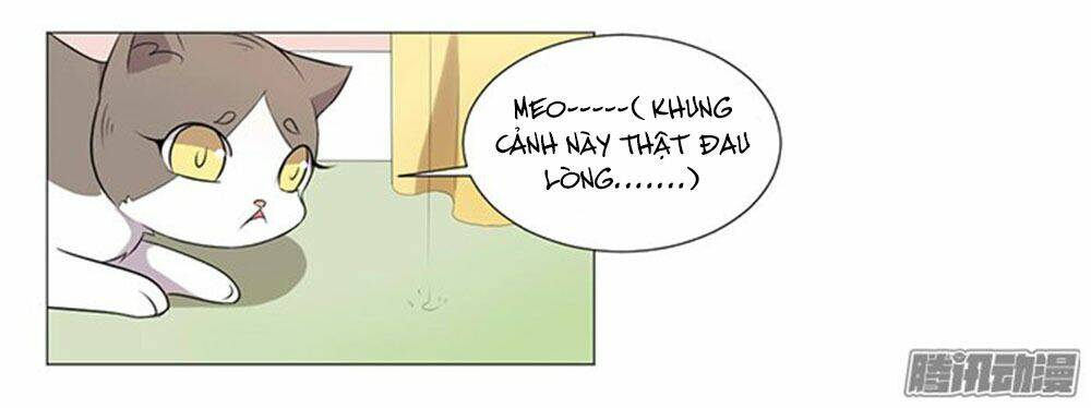 hai chú mèo totem chapter 37 63