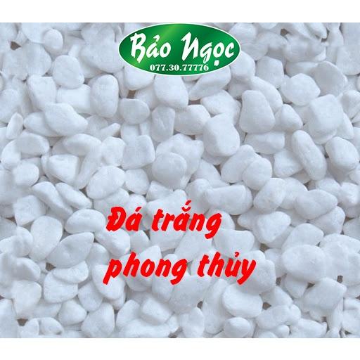 0,5kg đá trắng trang trí mặt chậu size nhỏ đá phong thủy non nước