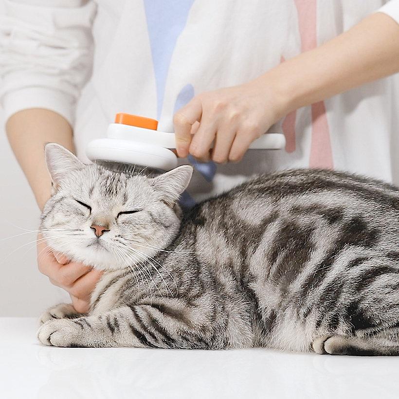 Lược chải lông Petkit - Petkit Grooming Brush