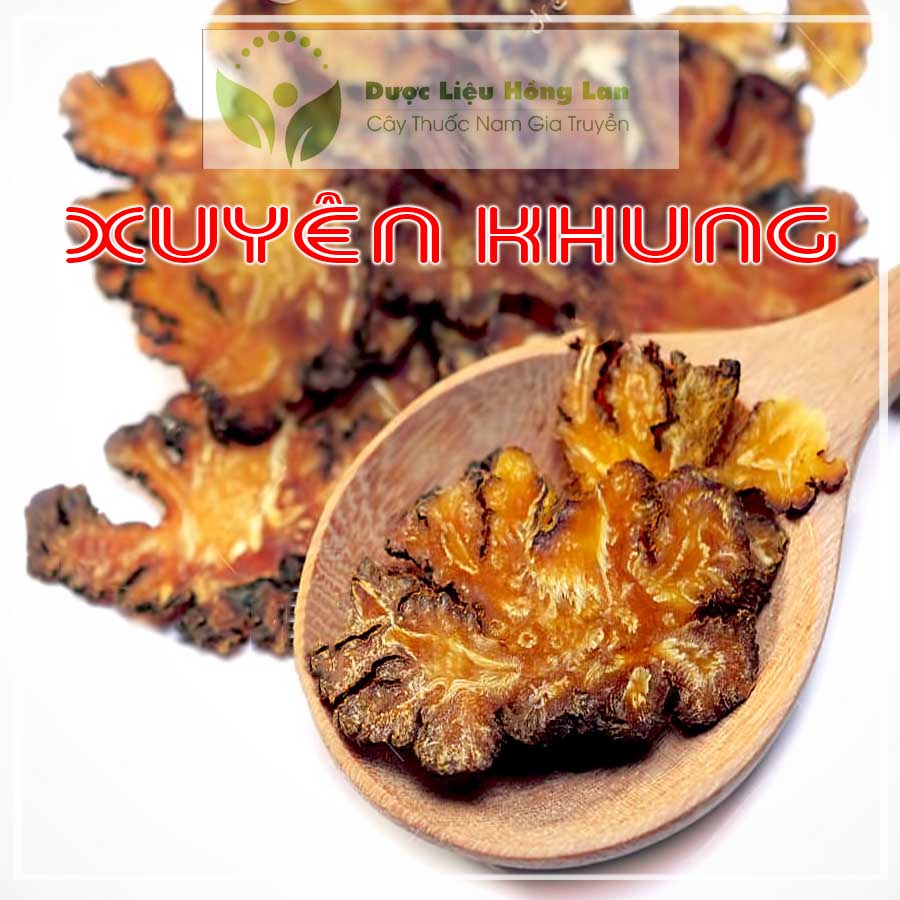 100gram Xuyên khung vị thuốc bắc khô sạch