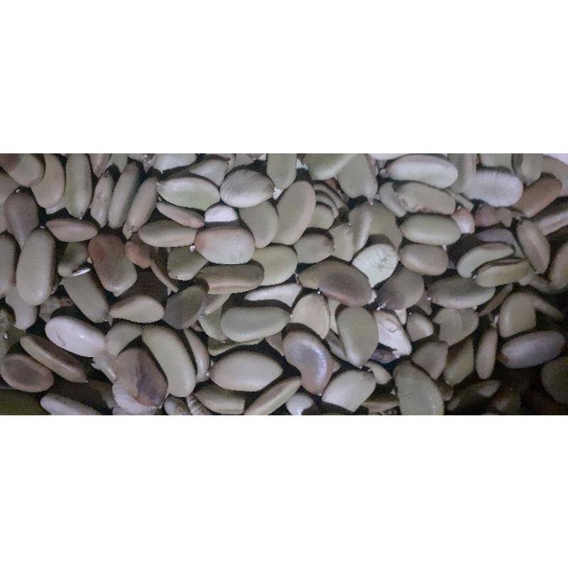 500 gram hạt keo gai