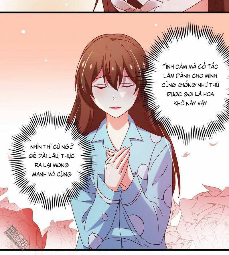 khế hôn chapter 65 27