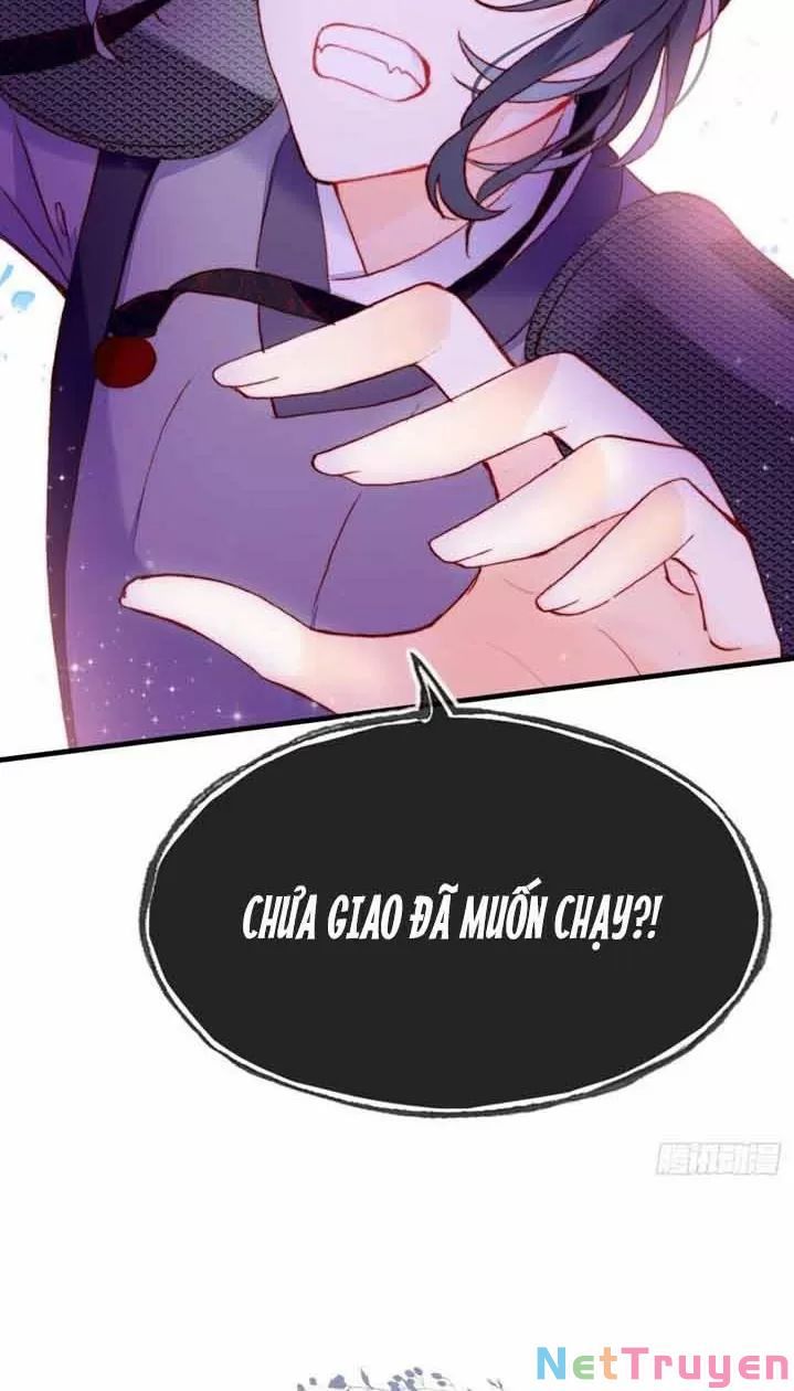 lại bị bệnh chiều chuộng quấn lấy chapter 5 44