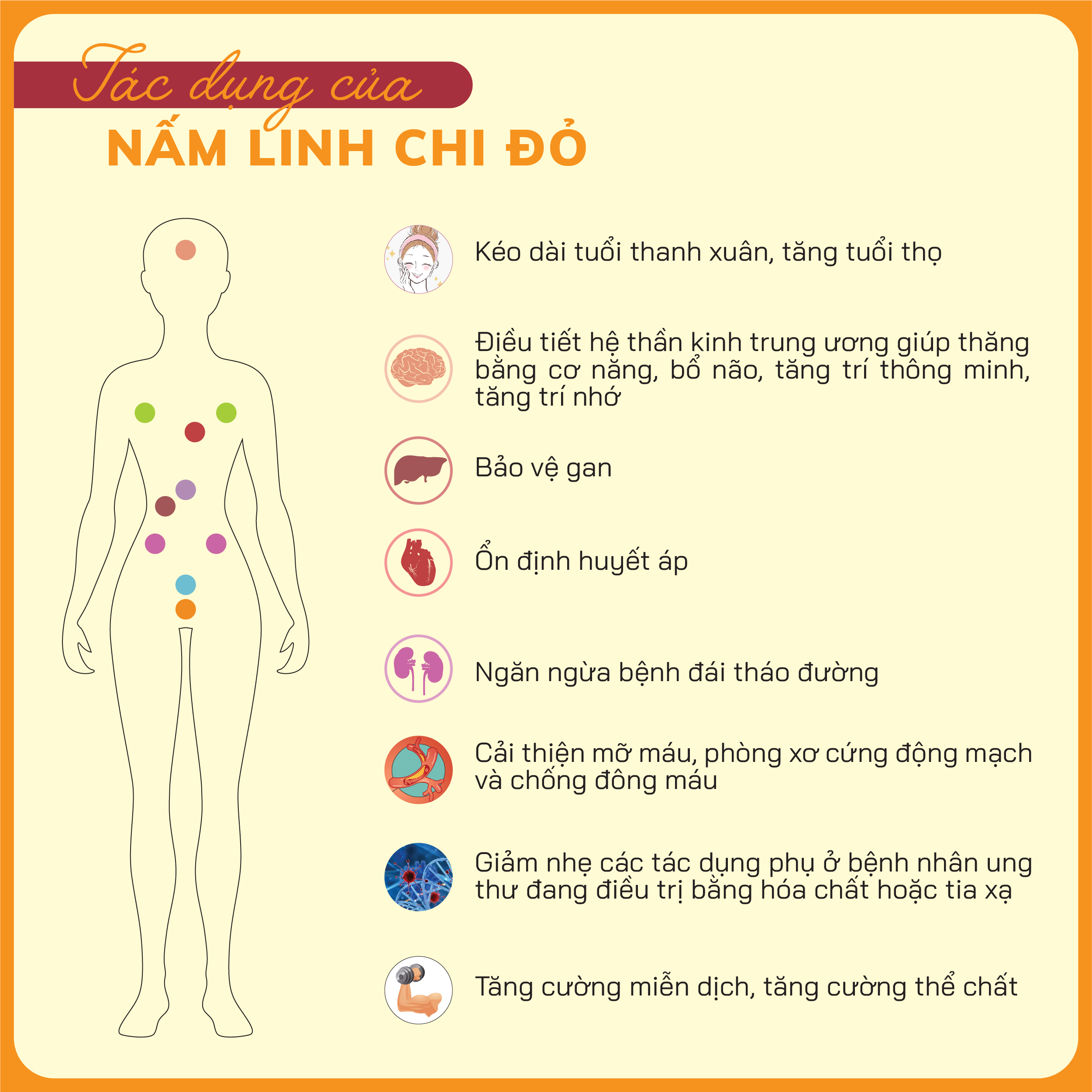 NẤM LINH CHI ĐỎ PLN - Cắt lát. Túi 100g - Xích chi