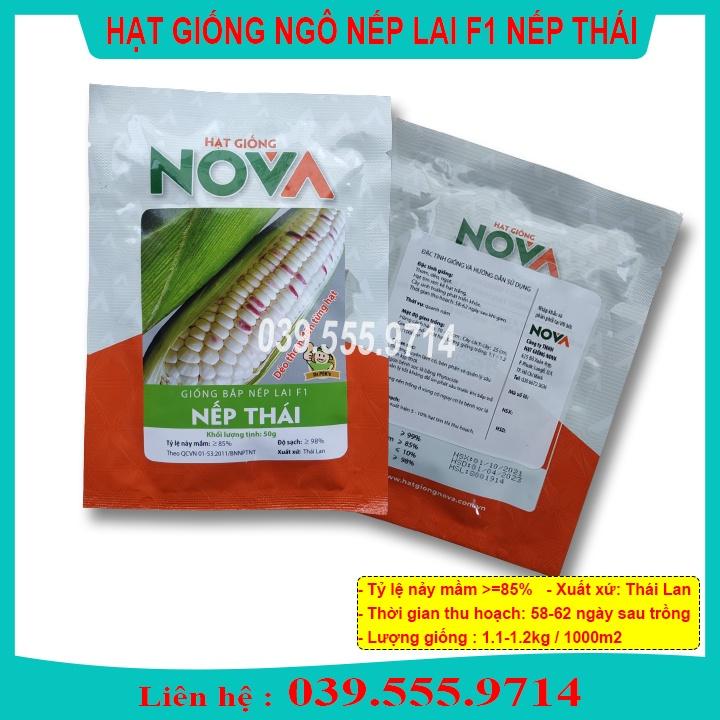 Hạt Giống Ngô Nếp Thái Tím Trắng  ( 500gram) - Hạt Ngô Thơm Dẻo Ngon Năng Suất Cao