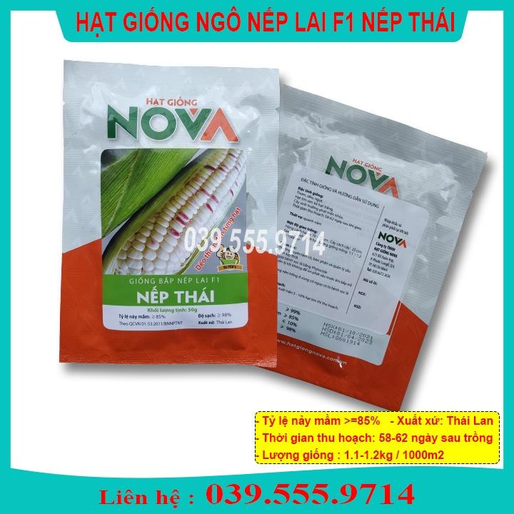 Hạt Giống Ngô Nếp Thái Gói 50gram- Hạt Ngô Tím Xen Trắng Thơm Dẻo Ngon Năng Suất Cao