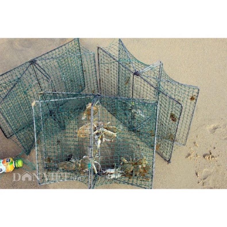 Lồng bẫy cua Dập bẫy cua ghẹ biển hàng loại 1 chất lượng siêu bền y hình