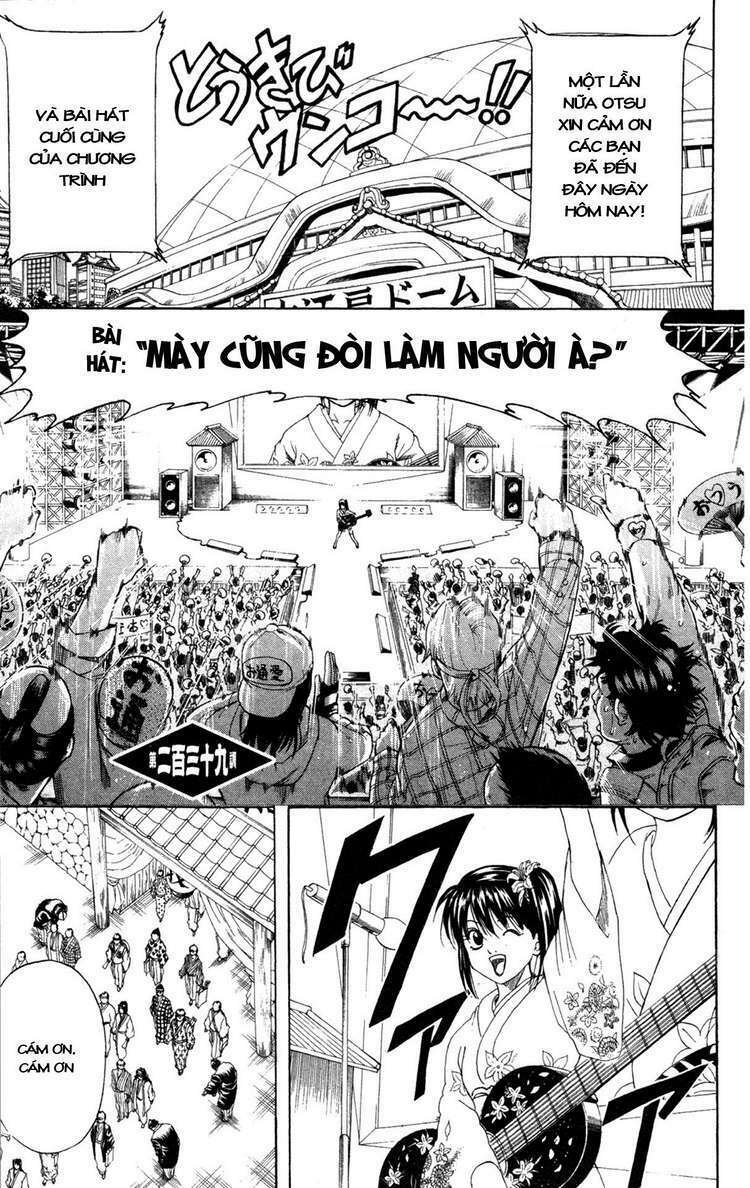 gintama - linh hồn bạc chapter 239 3