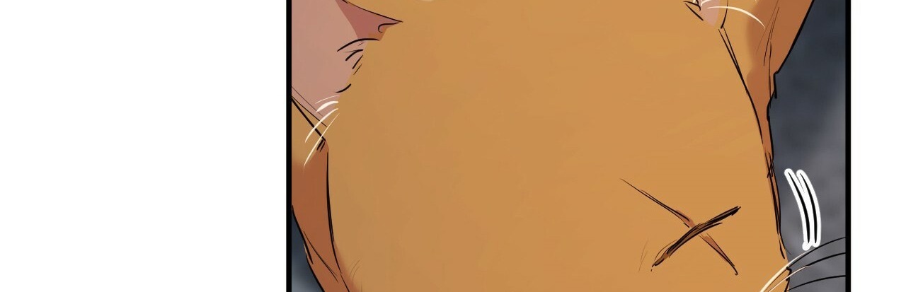 đàn thỏ của habibi chapter 22 502