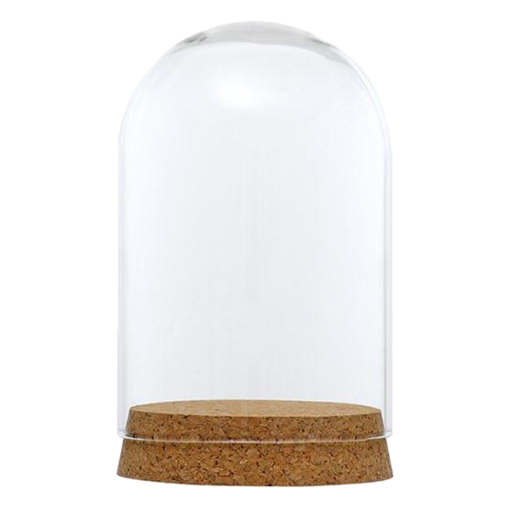 3xGlass Cover Landscape Terrarium Container Lid Vase Bottle 8x12cm