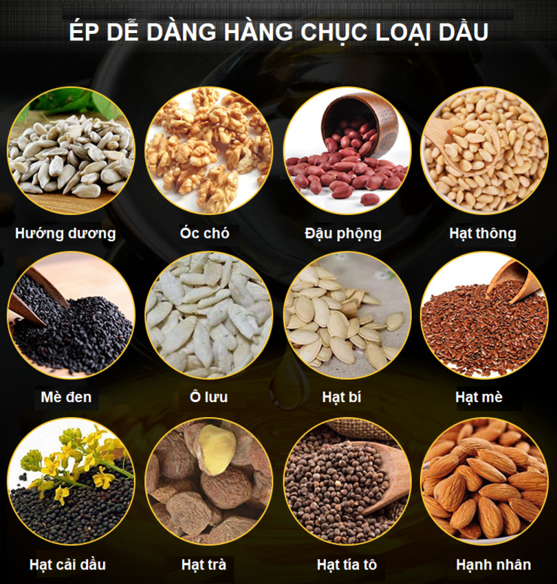 [1 Năm Bảo Hành Chính Hãng] Máy ép dầu thực vật dùng trong gia đình, Thương hiệu Anh Quốc cao cấp AOSIDA  888A, Công suất lên tới 750W, ép 3-6kg/giờ - Hàng Nhập Khẩu