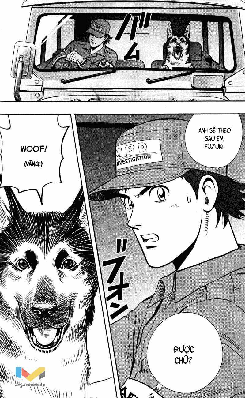animal sense chapter 8 35