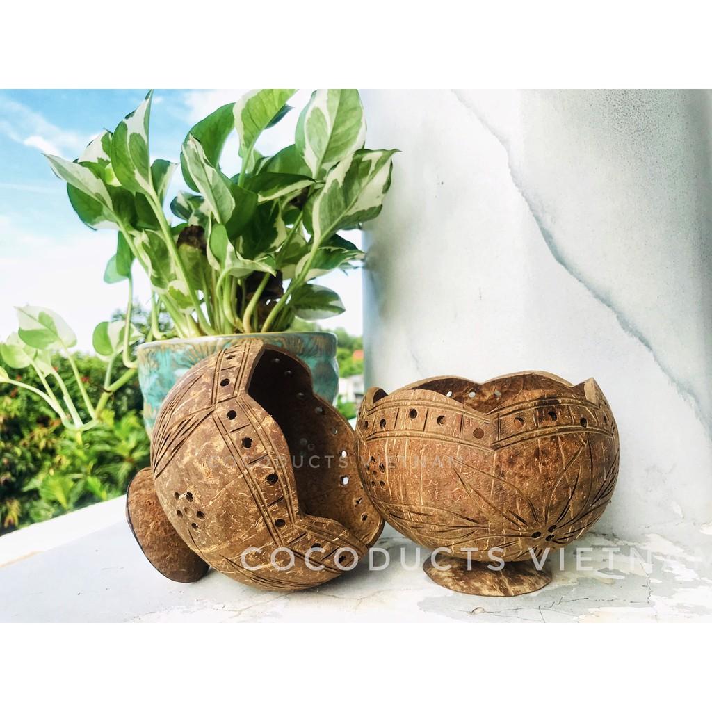 Vỏ gáo dừa trồng lan xinh xắn cho ban công -sân vườn