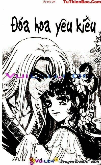 đóa hoa yêu kiều chapter 6 45