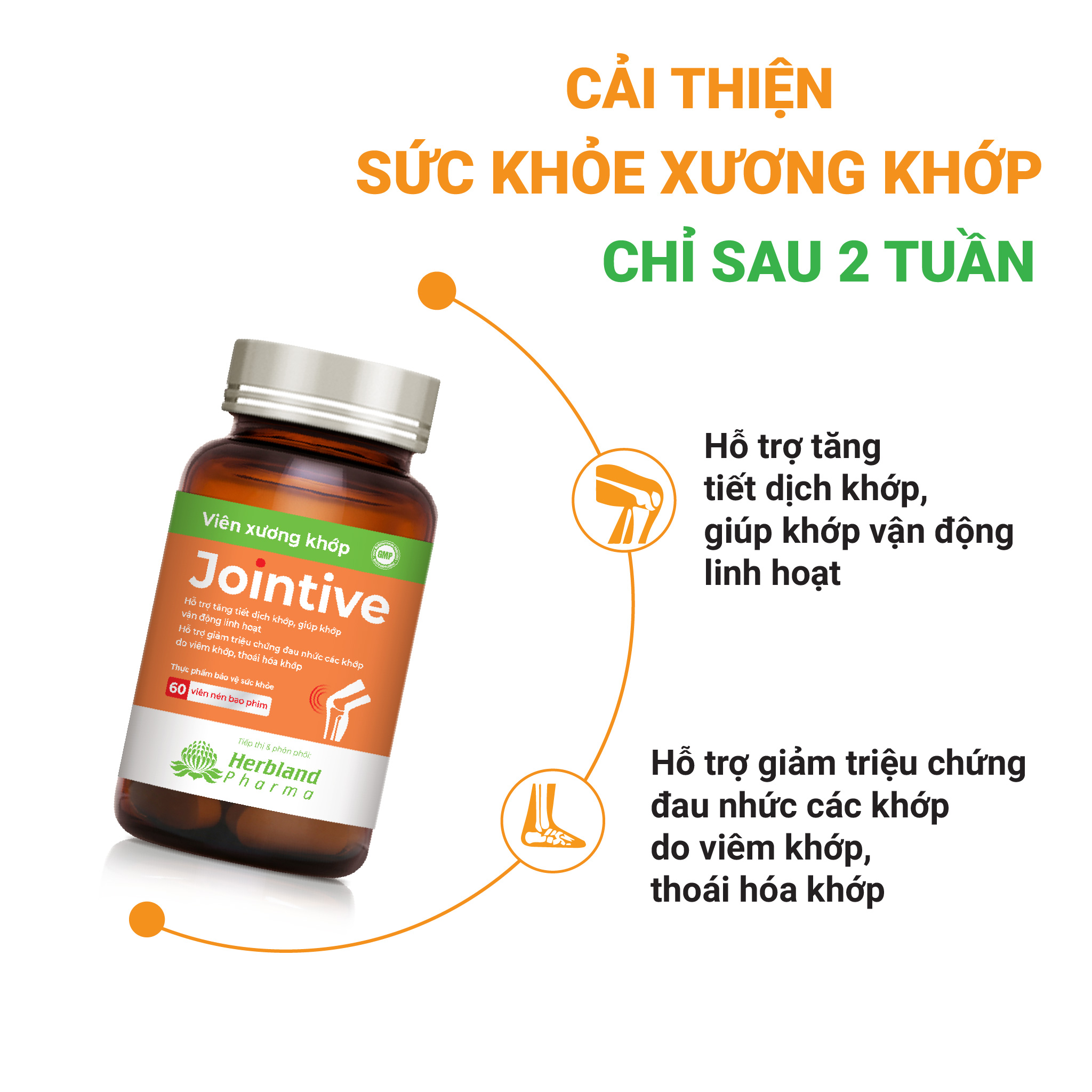 Viên xương khớp JOINTIVE cải thiện và bảo vệ sức khỏe xương khớp