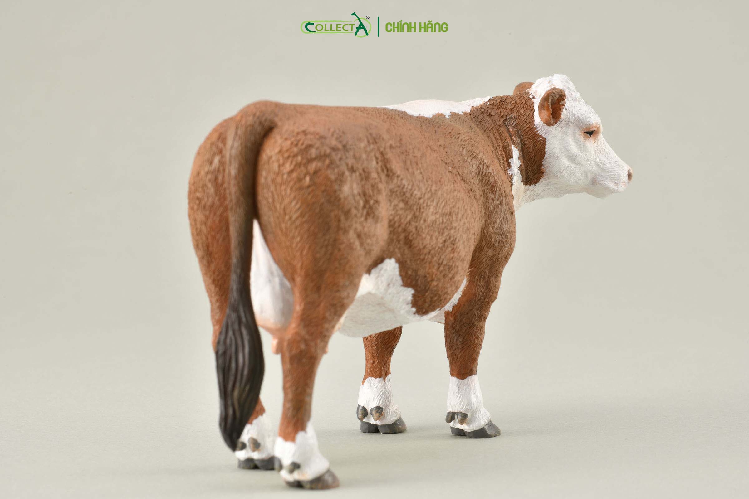 Mô hình thu nhỏ: Bò Hereford mẹ  - Hereford Cow  , hiệu: CollectA, mã HS 9650190[88860] -  Chất liệu an toàn cho trẻ - Hàng chính hãng