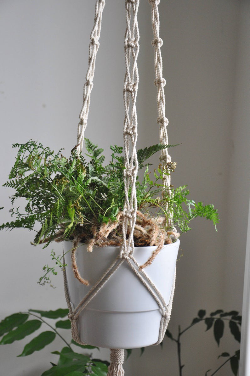 01 Dây tết thủ công Macrame treo tường trang trí chậu cây cảnh kết hợp vòng gỗ. DT270321