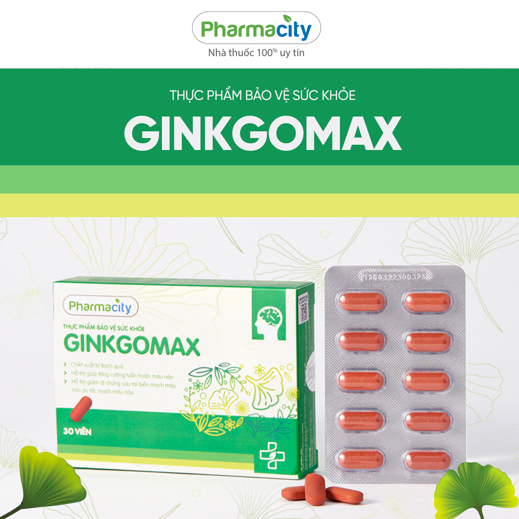 Thực phẩm hỗ trợ tuần hoàn máu não GinkgoMax (Hộp 30 viên)