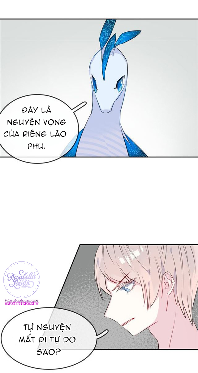 bộ váy của nàng tiên cá chapter 21 11