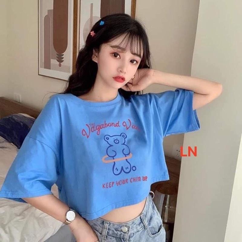 Áo croptop gấu Vagabon TH6