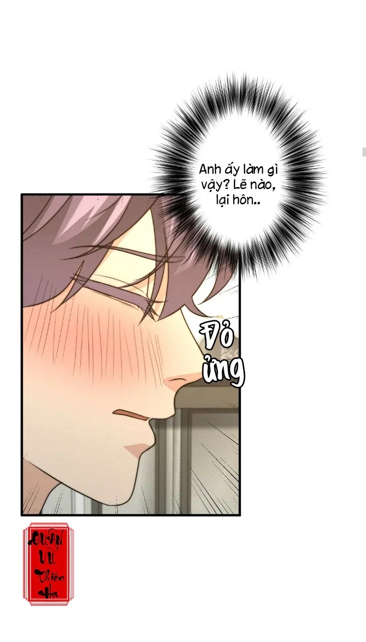 bí mật của omega k chapter 22 27