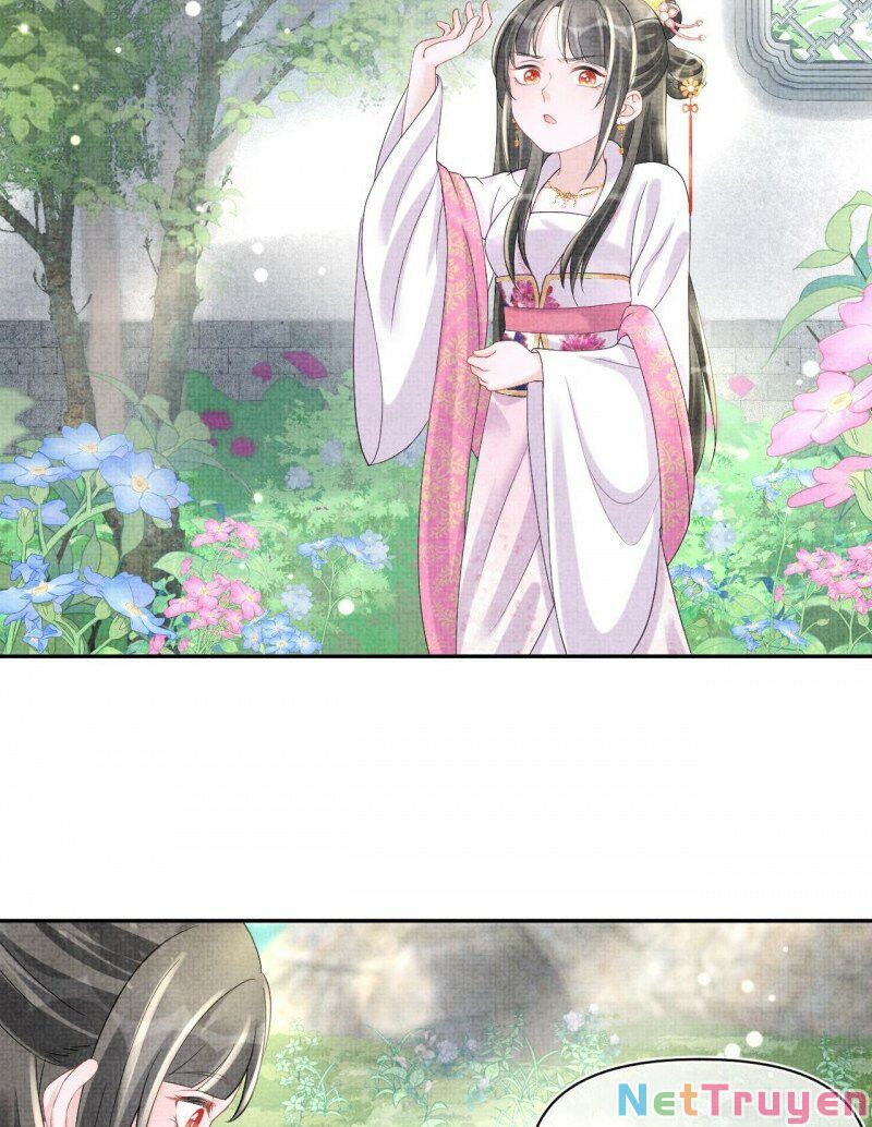 nhóc con người cá 3 tuổi rồi chapter 235 5