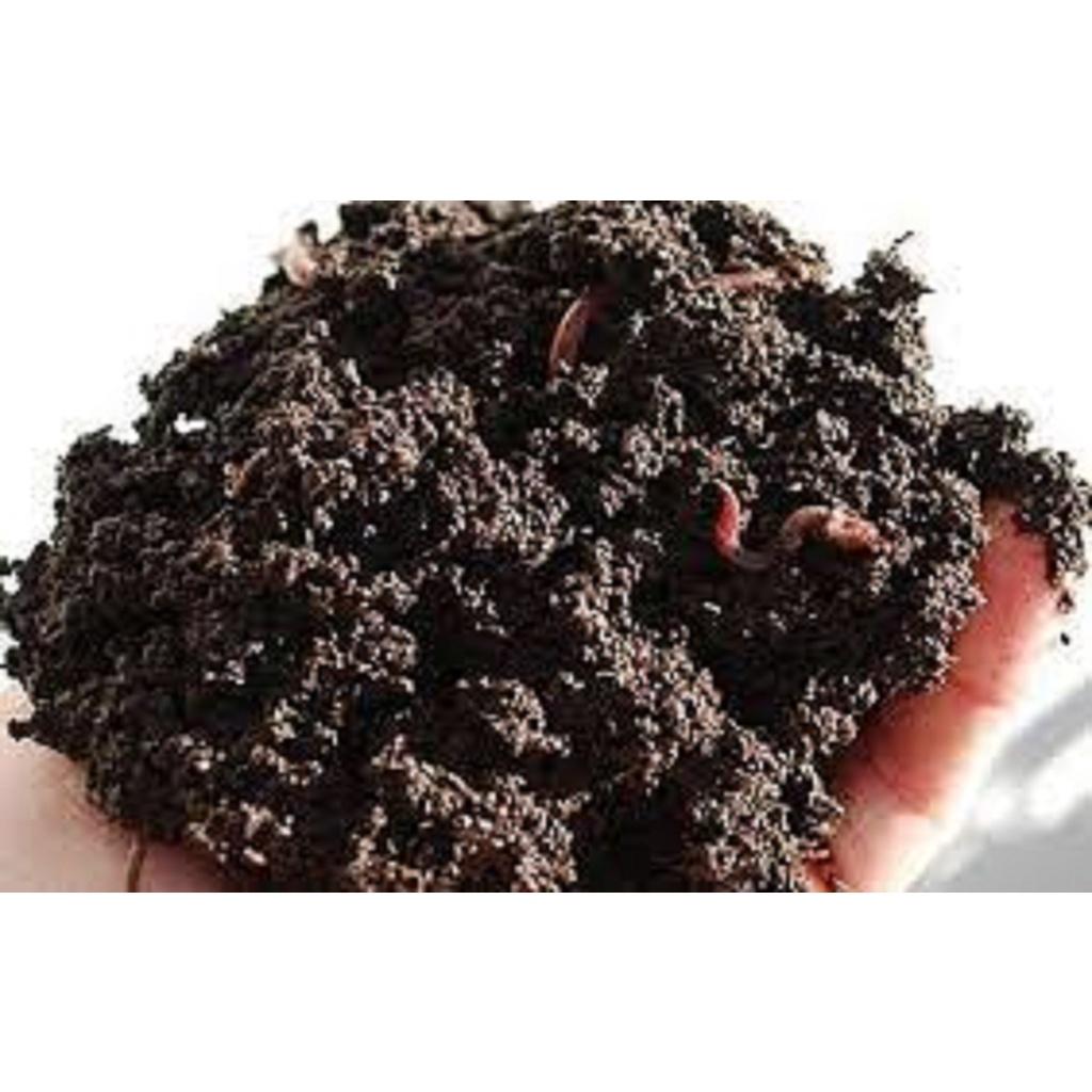 2 KG PHÂN TRÙN QUẾ NGUYÊN CHẤT. *