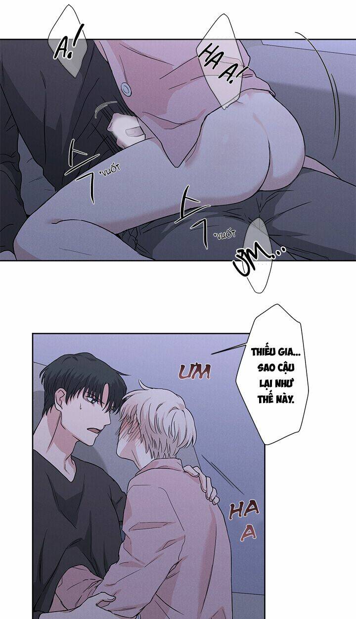 trốn tìm chapter 8 19