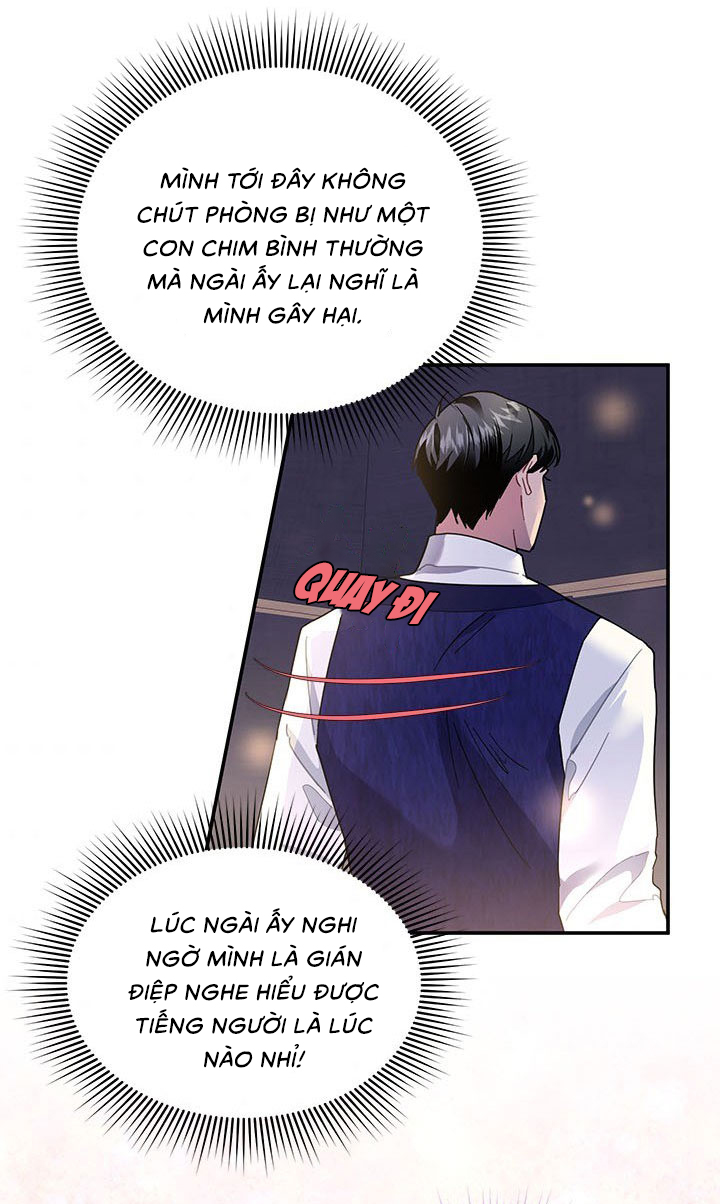 công chúa của loài chim chapter 16 55