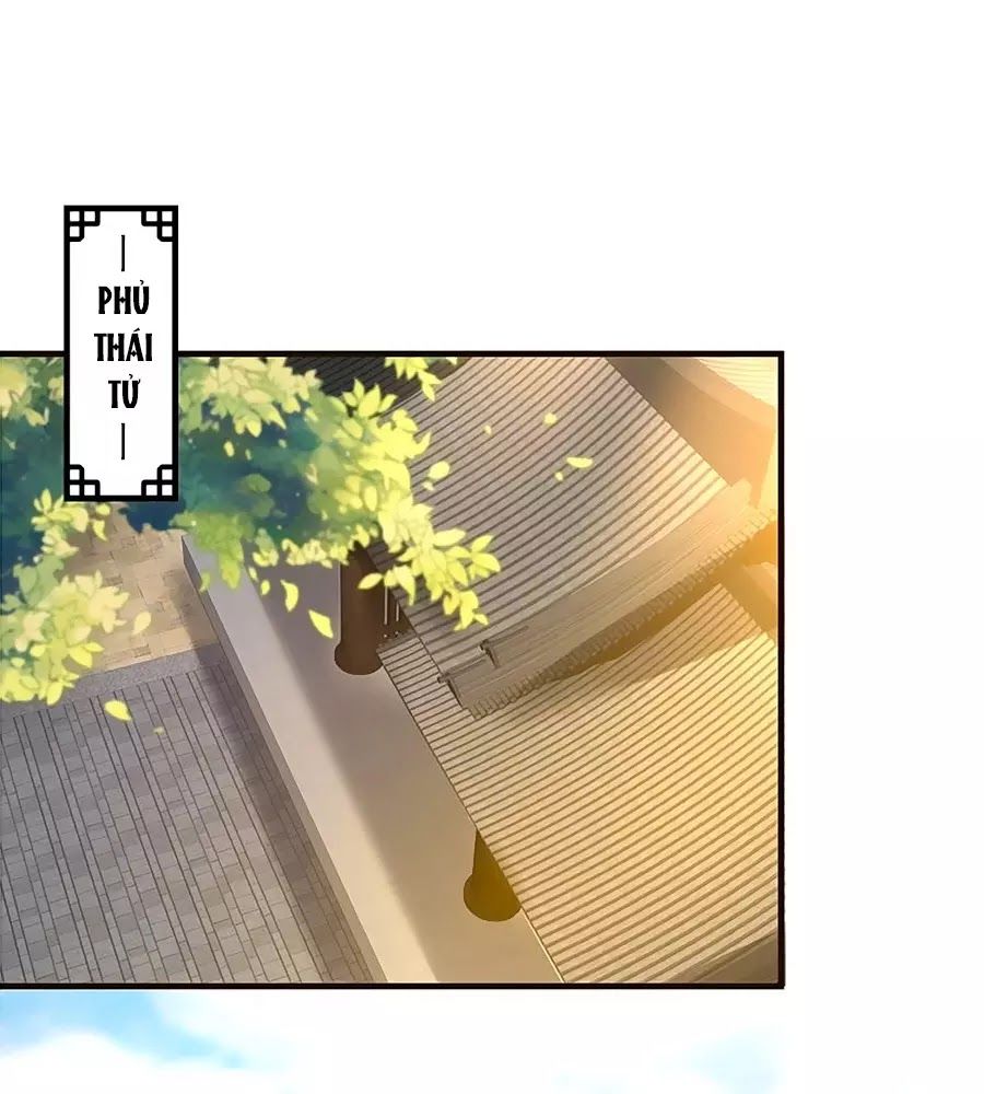 thịnh thế lê hoa điện chapter 61 1