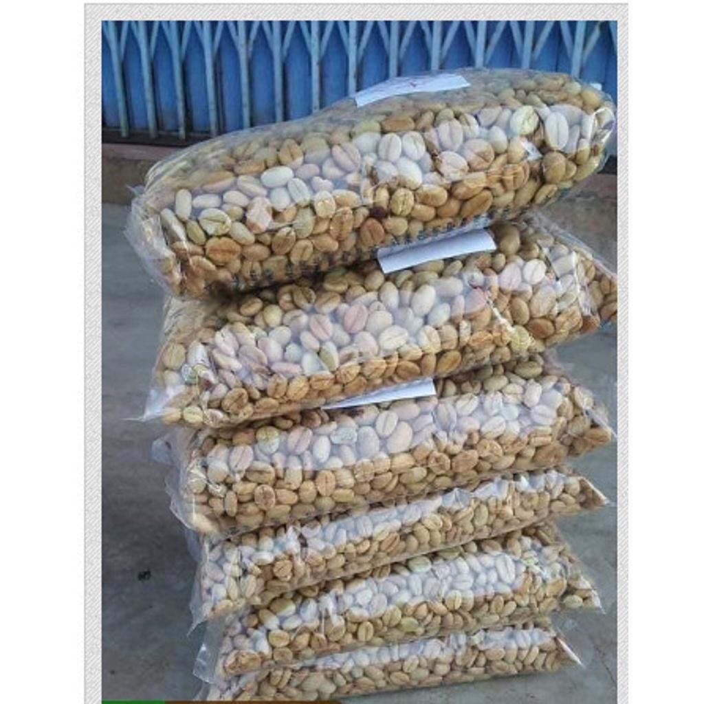 0,5 KG HẠT GIỐNG CÀ PHÊ THIỆN TRƯỜNG CAO SẢN -