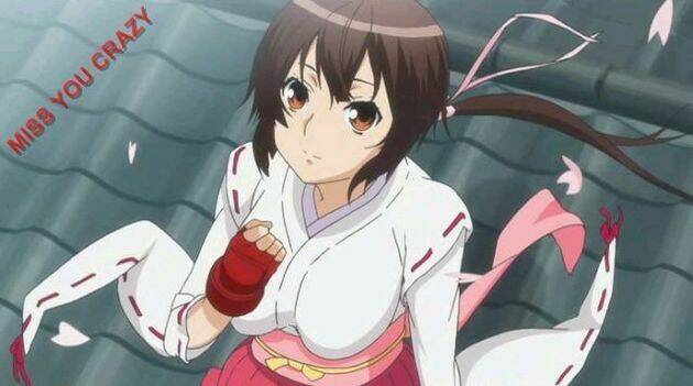 sekirei chapter 95 19