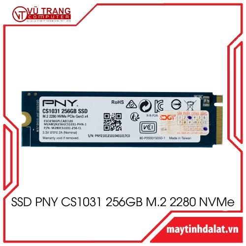 Ổ cứng SSD PNY CS1031 256GB M.2 2280 NVMe - hàng chính hãng