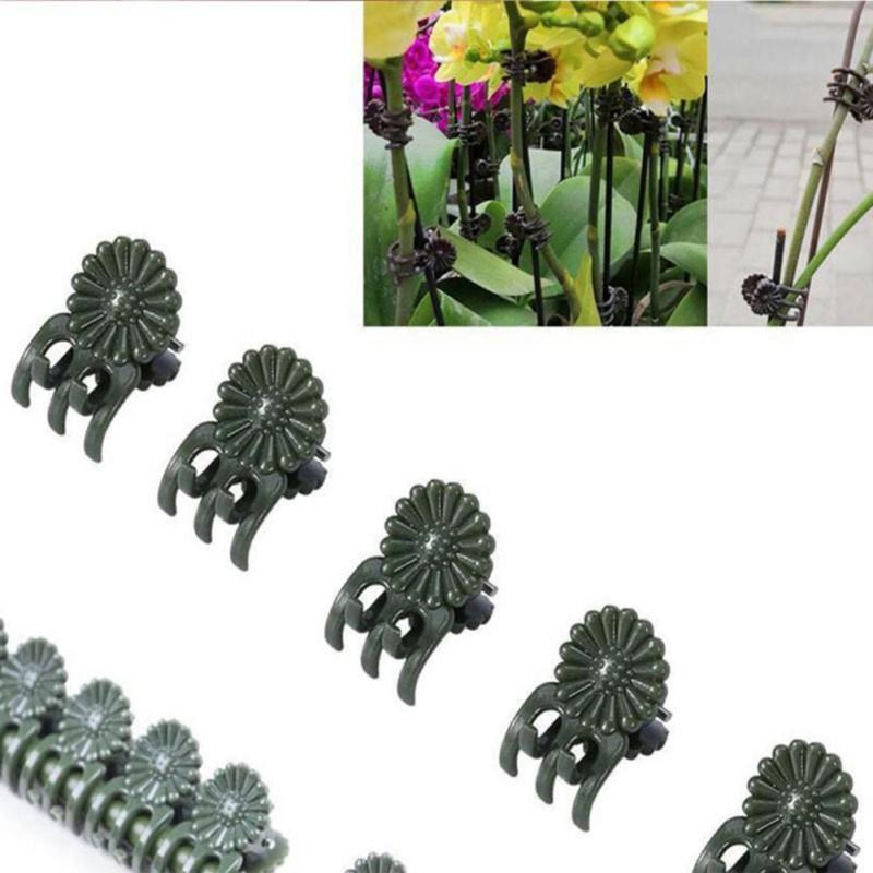 Set 50 Kẹp Nhựa Cố Định Cành Hoa Lan