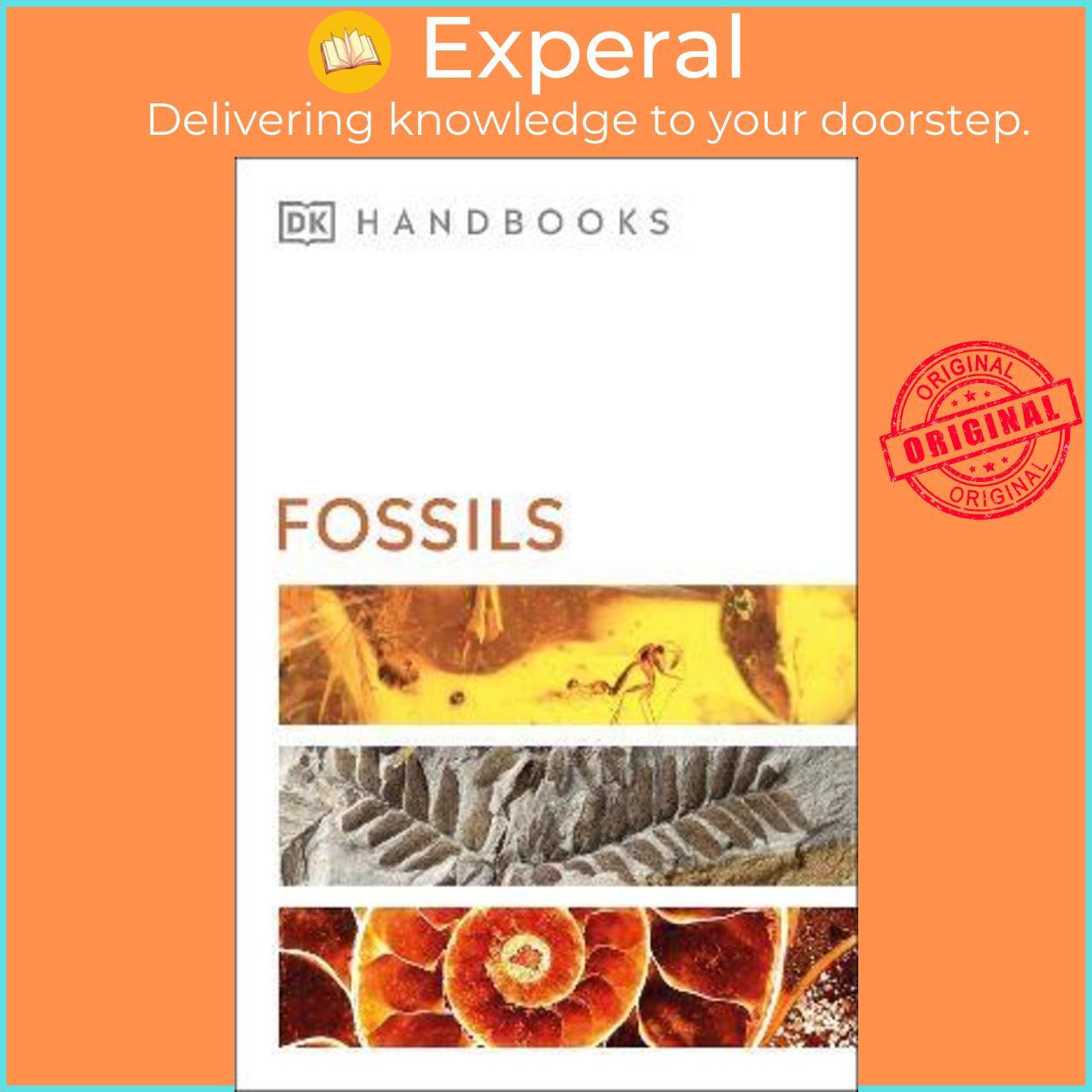 Hình ảnh Sách - Fossils by DK (UK edition, paperback)