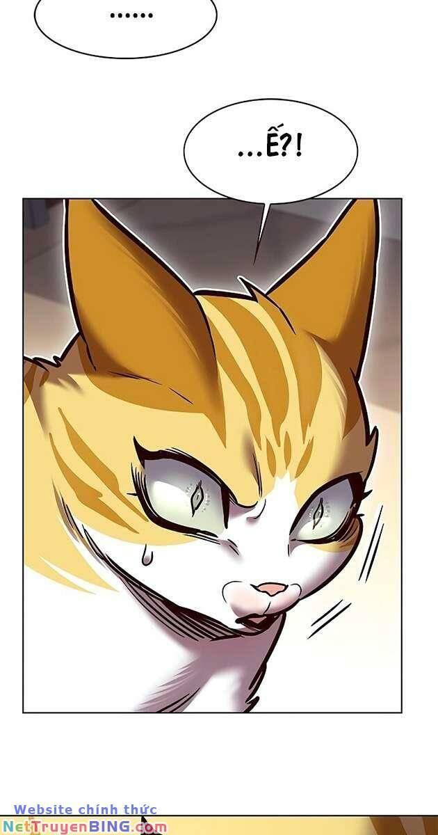 biến thân thành mèo chapter 278 6