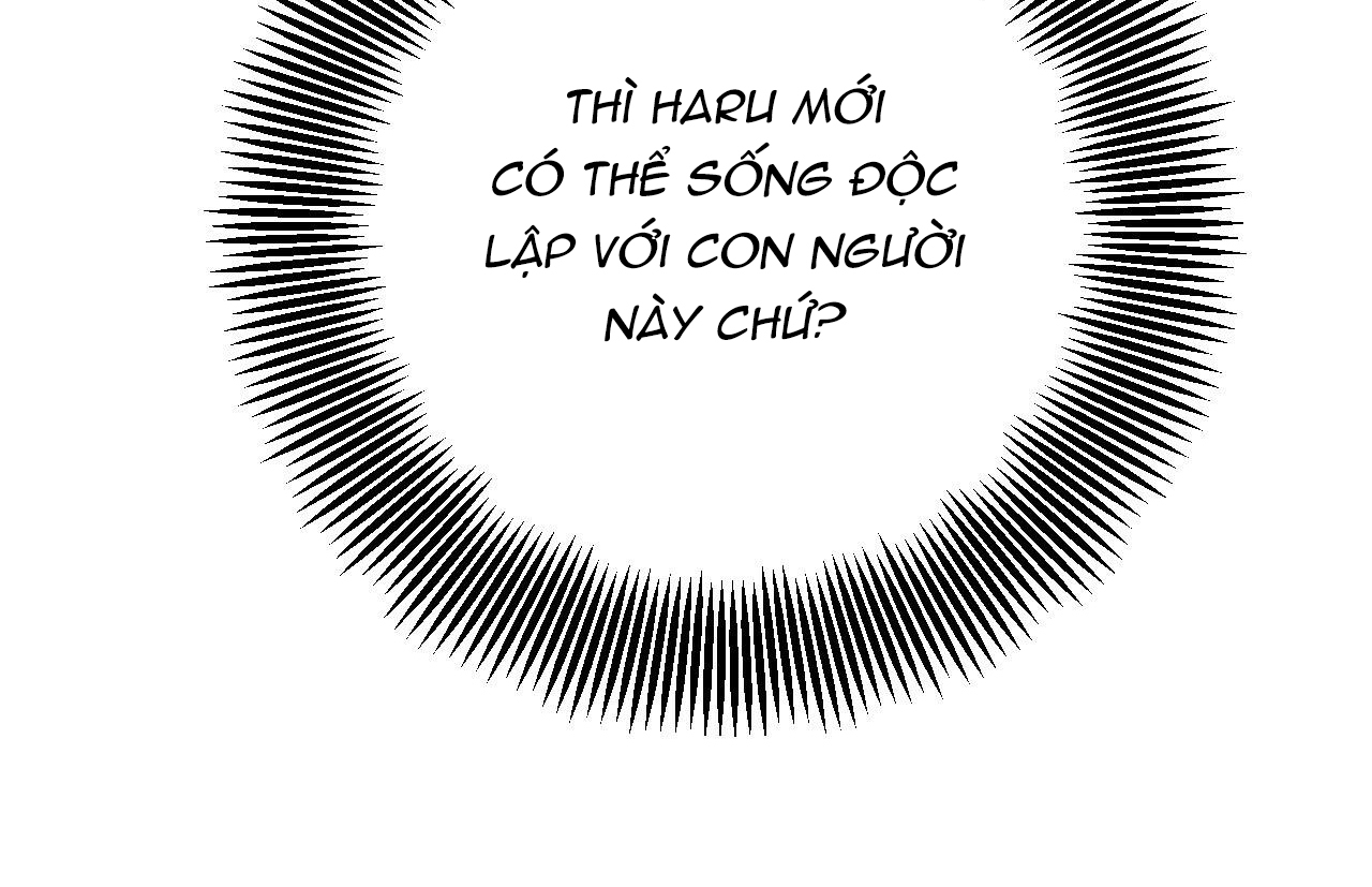 đàn thỏ của habibi chapter 31 196