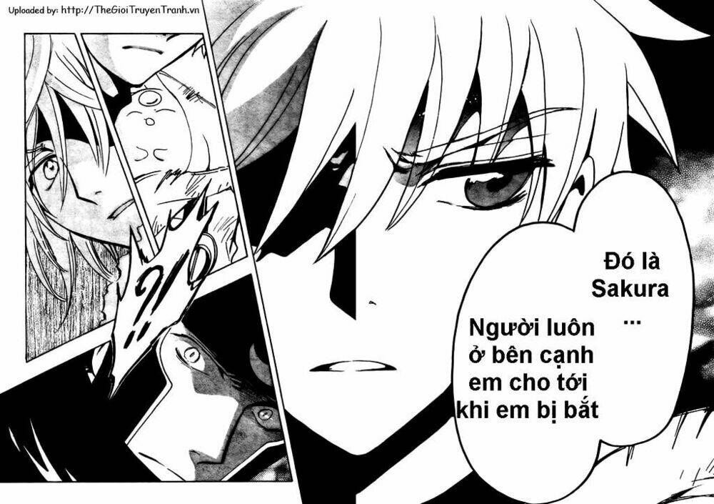 huyền thoại đôi cánh chapter 187 6