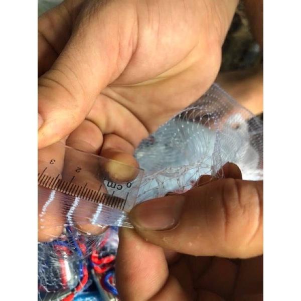 Chài cước tép chì đúc mắt lưới 1,5cm hàng loại 1 nhập tại thái lan chài siêu bền siêu đẹp y hình