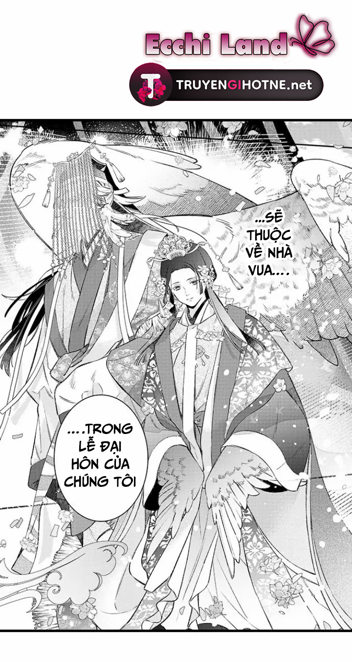 điểu thượng minh hoa chapter 1.1 4