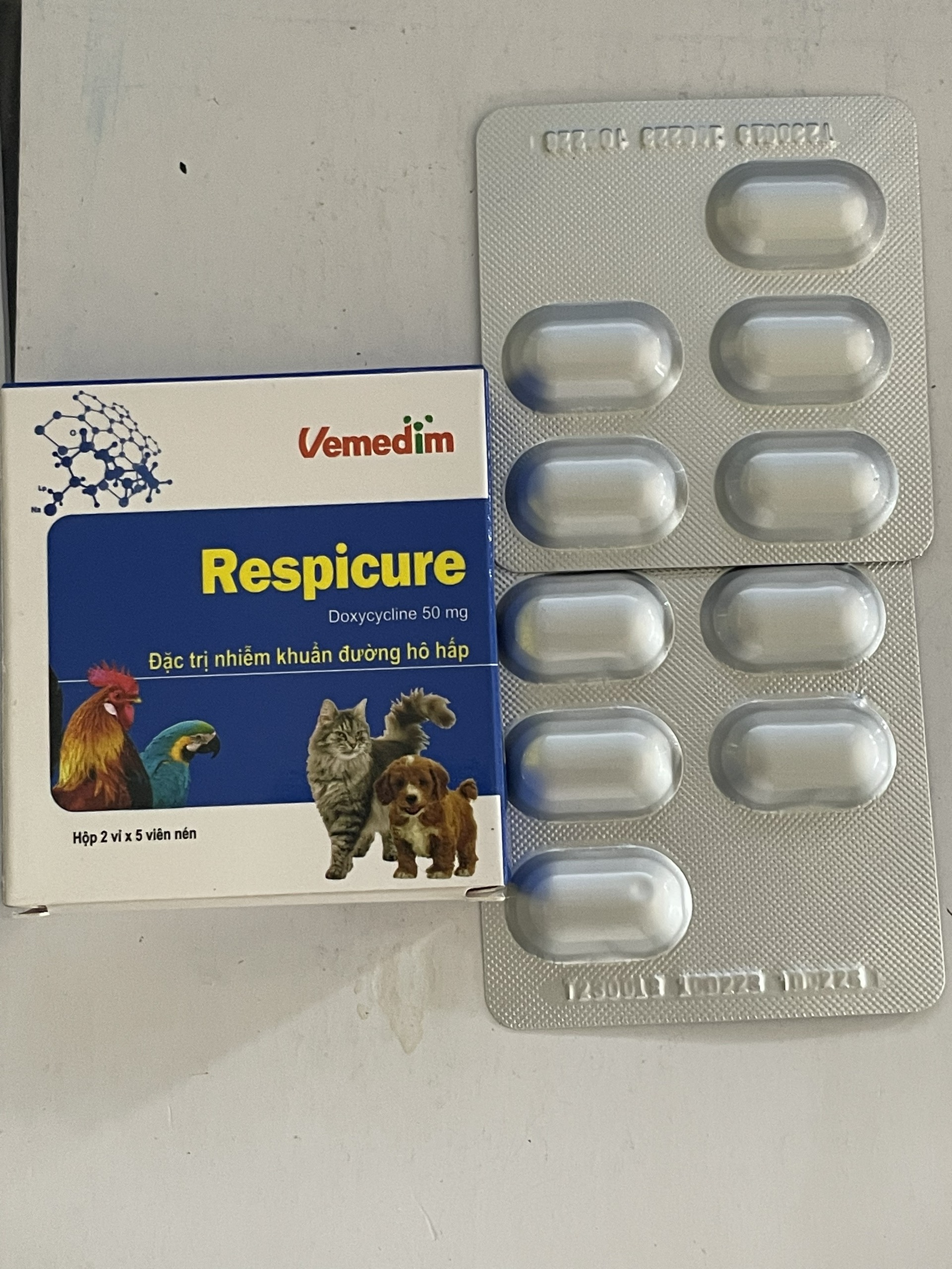 RESPICURE - HỖ TRỢ NHIỄM KHUẨN ĐƯỜNG HÔ HẤP